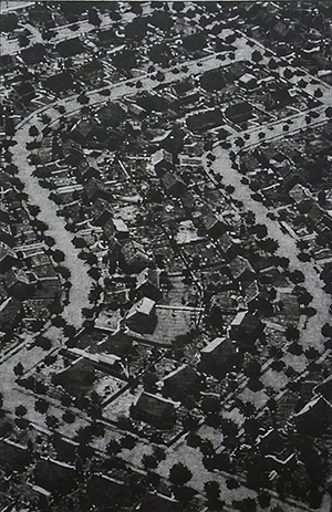 Richard Forster, S is for Levittown